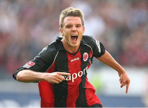 养更为成熟 养更为成熟